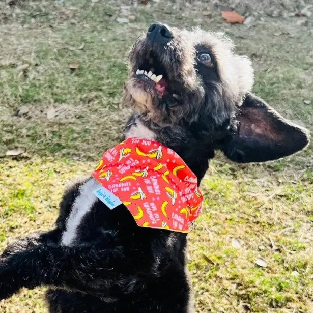 Bananas For You Dog Bandana - Reversible, Funny and Handmade