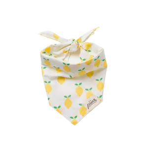 Bandanas - Lemoni