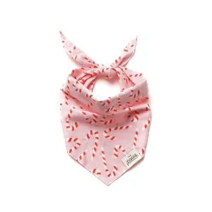Candyland Pink Dog Bandana
