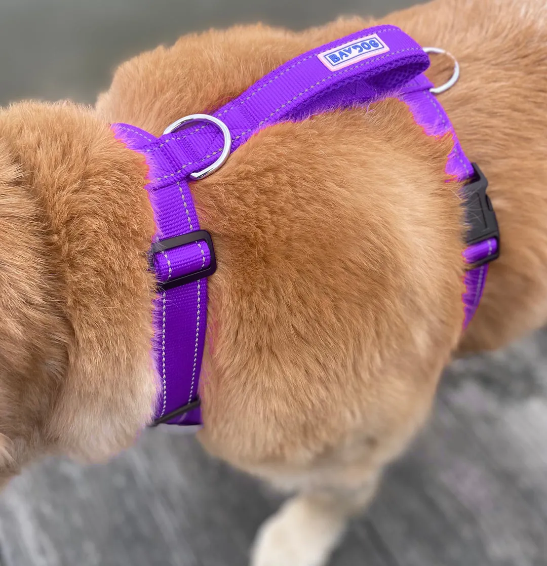 Chesapeake Bay Dog Harness Purple Rain Extra Large