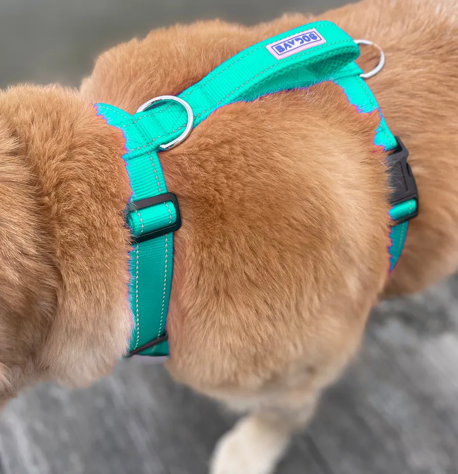 Chesapeake Bay Dog Harness Sea Foam Extra Large