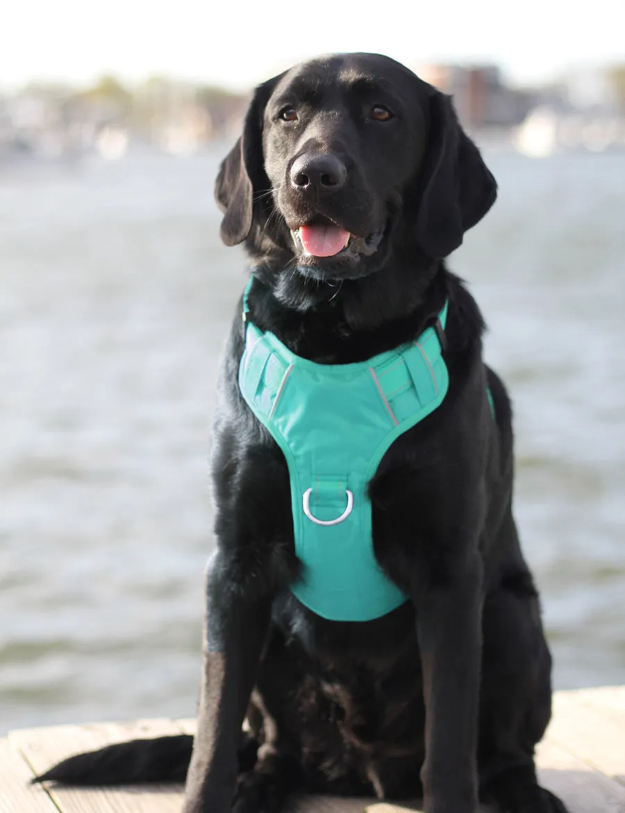 Chesapeake Bay Dog Harness Sea Foam Extra Large