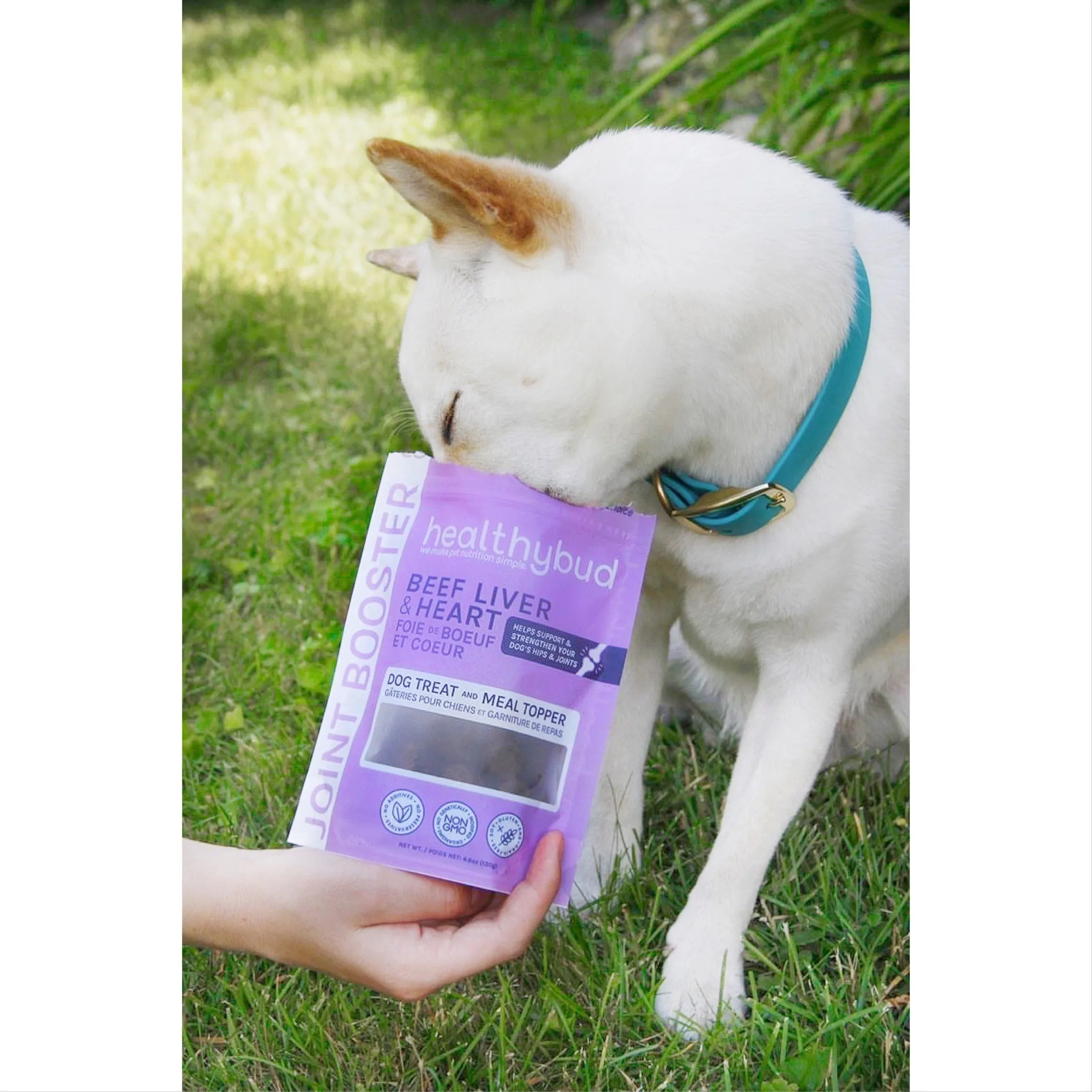 healthy bud beef liver & heart joint booster dog treats