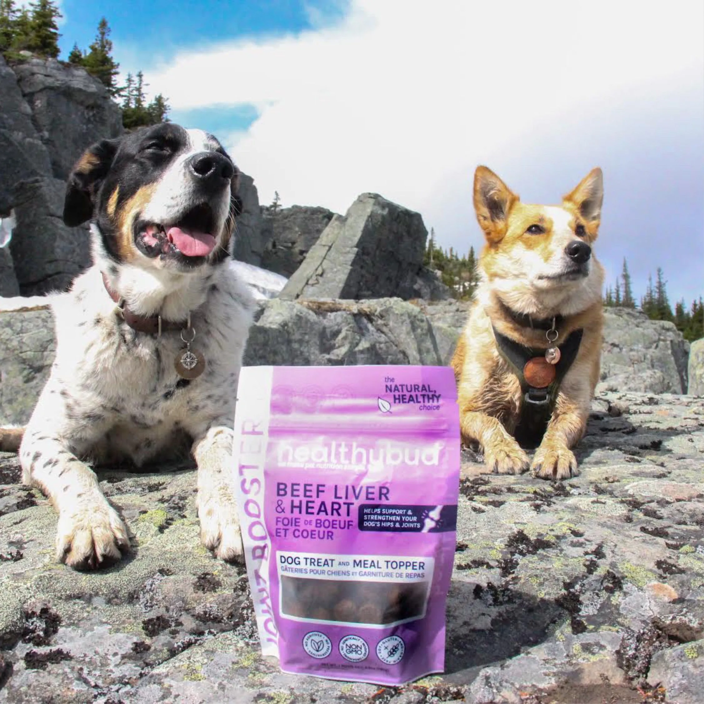 healthy bud beef liver & heart joint booster dog treats
