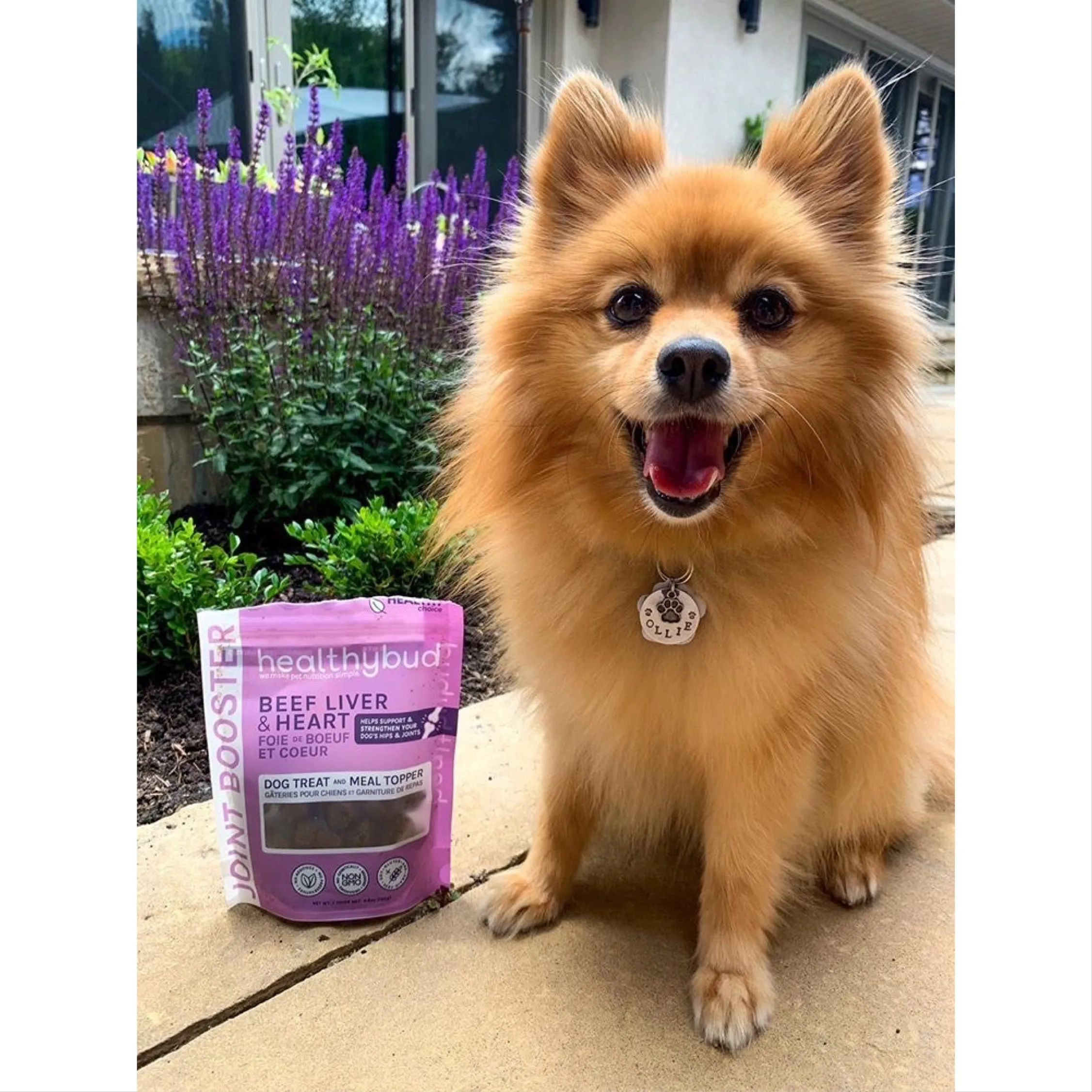 healthy bud beef liver & heart joint booster dog treats