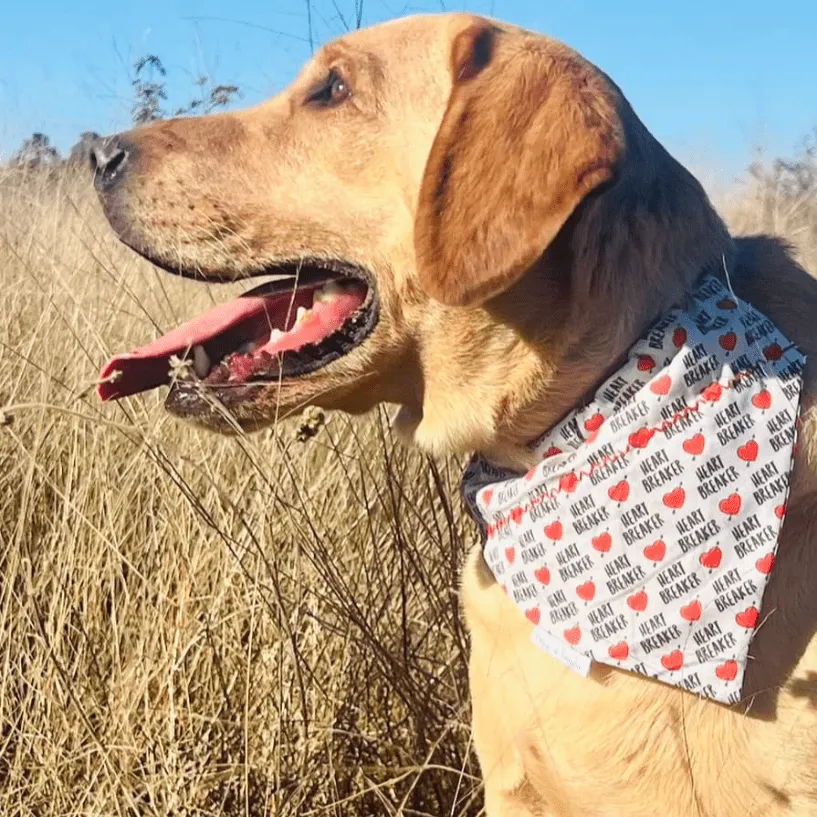 Heartbreaker Valentine's Day Dog Bandana