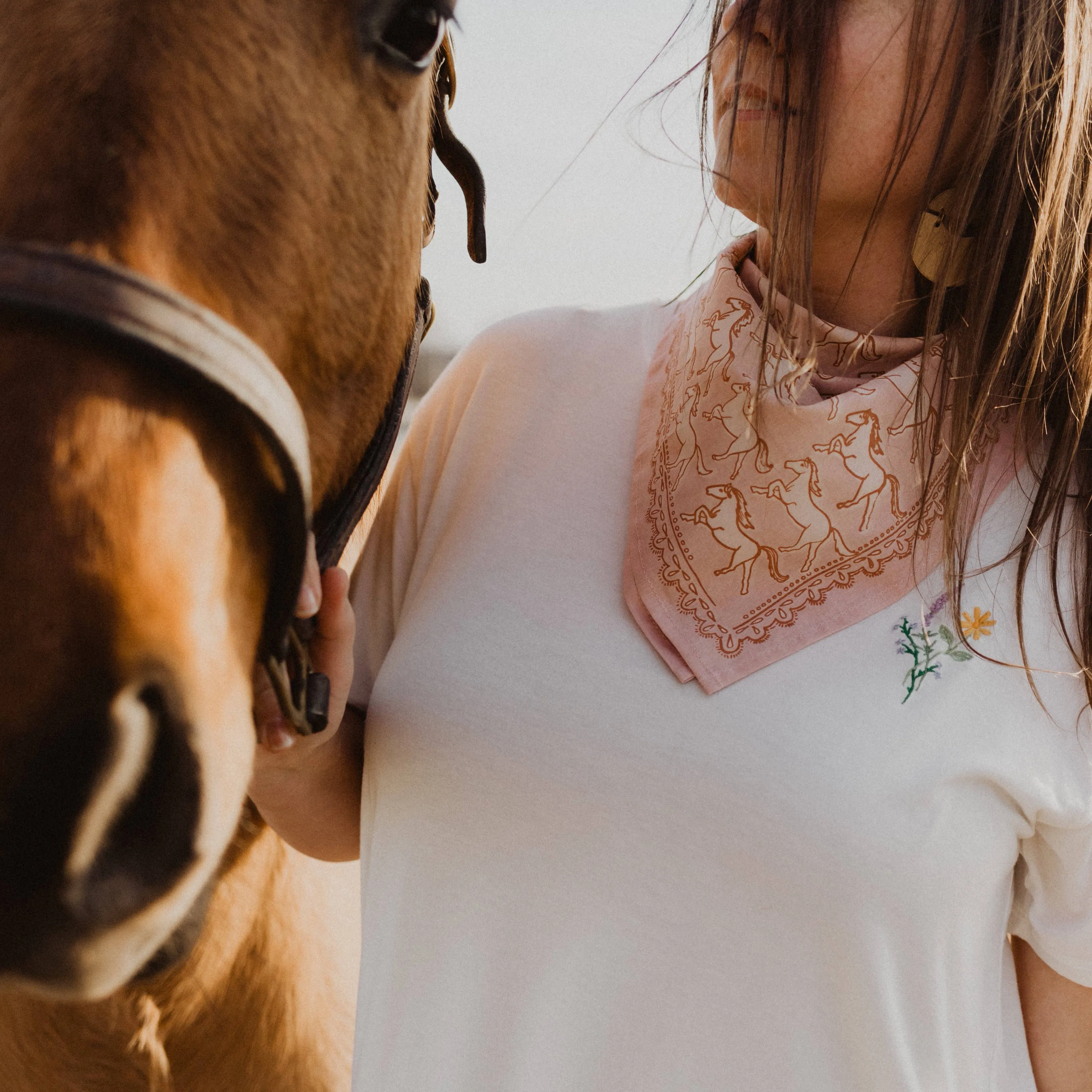 Horses Bandana no 62