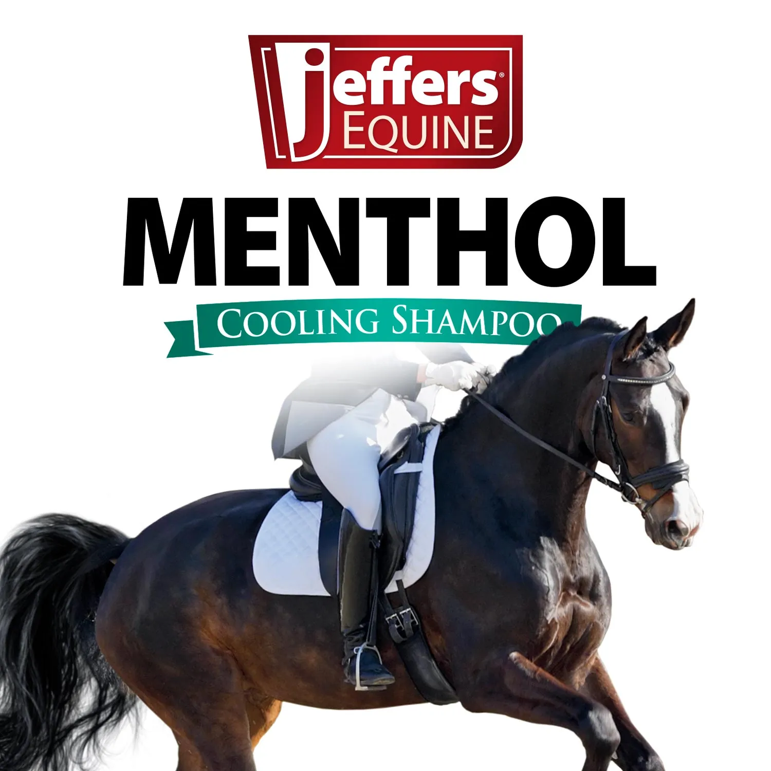 Jeffers Menthol Cooling Shampoo for Horses