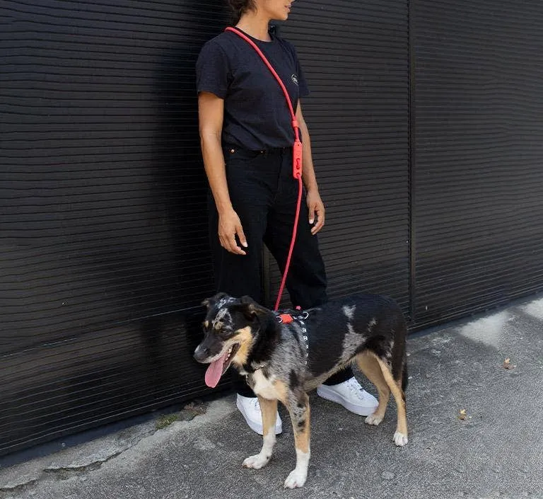 Neon Coral | Hands-Free Leash