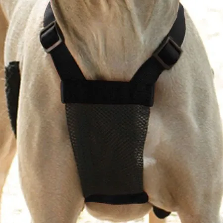 Sporn Non-Pulling Mesh Harness, Large/X-Large