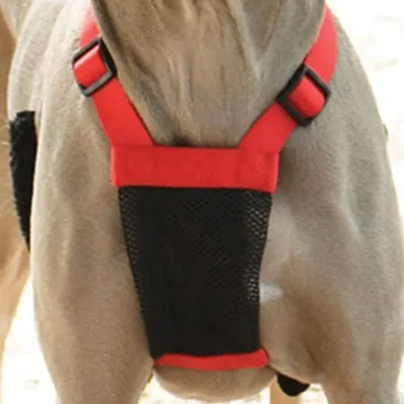 Sporn Non-Pulling Mesh Harness, Large/X-Large