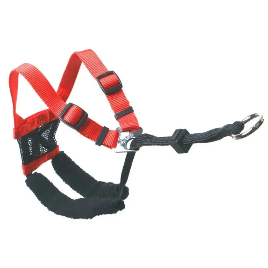 Sporn Non-Pulling Mesh Harness, Large/X-Large