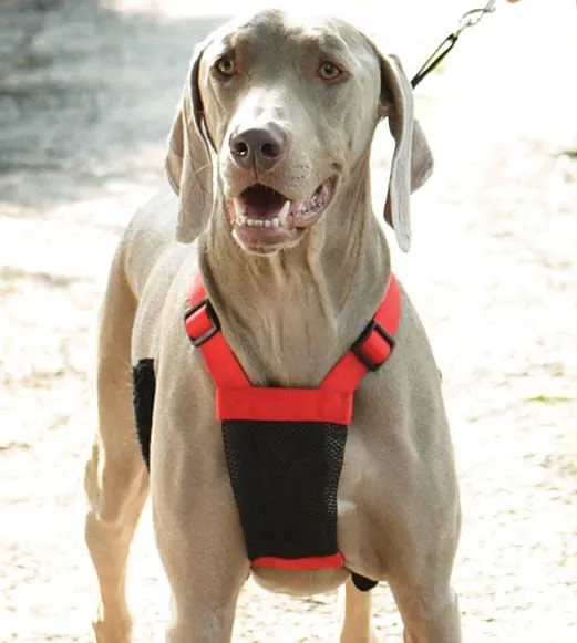 Sporn Non-Pulling Mesh Harness, Large/X-Large