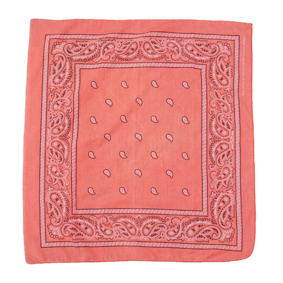 Vintage USA-Made Paisley Bandana